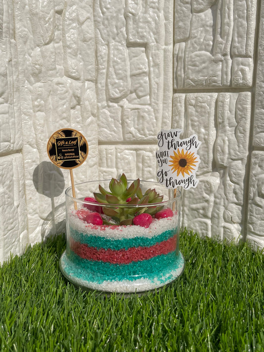 GL102 - Happy Birthday Terrarium Planter