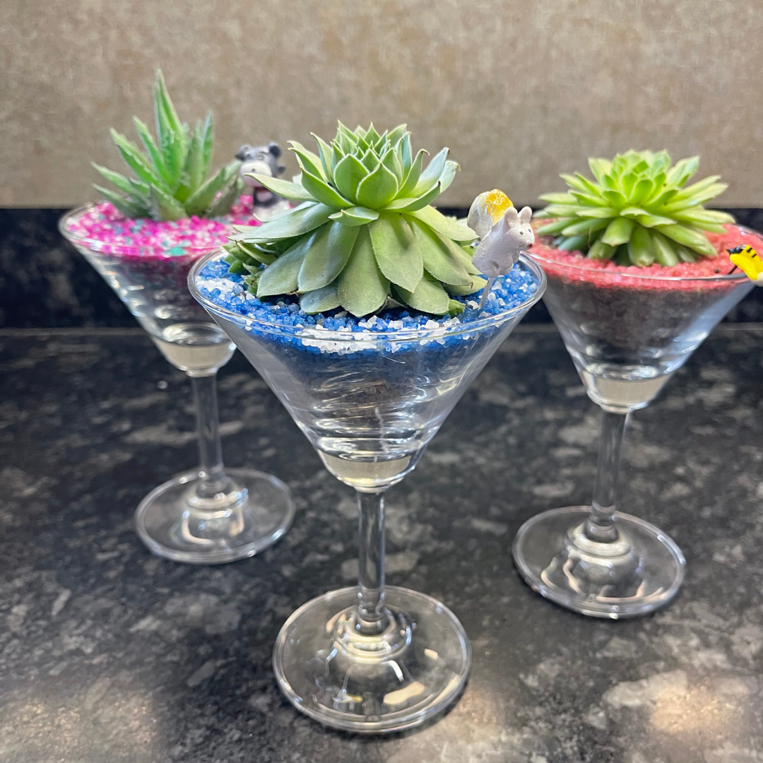 GL170 - Martini Glass Succulent (Set of 3)