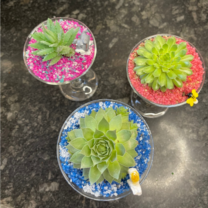 GL170 - Martini Glass Succulent (Set of 3)