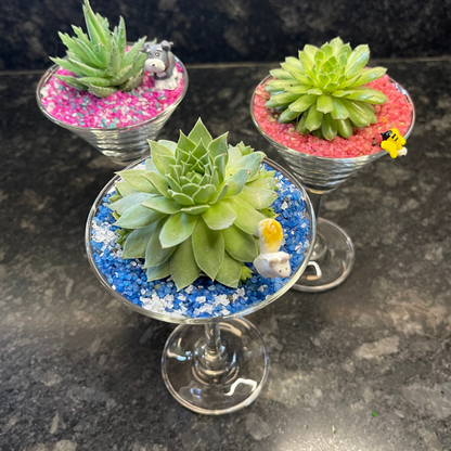 GL170 - Martini Glass Succulent (Set of 3)