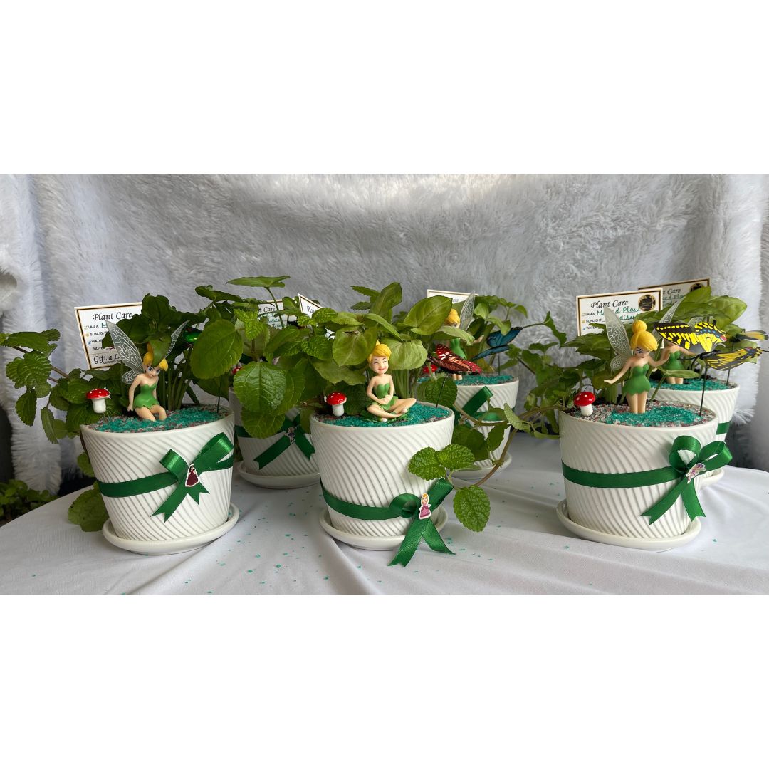 GL177 - Children's Fairy Garden Pot (Per Piece)