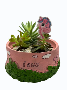 GL113-Succulent in Cute baby Pink Planter