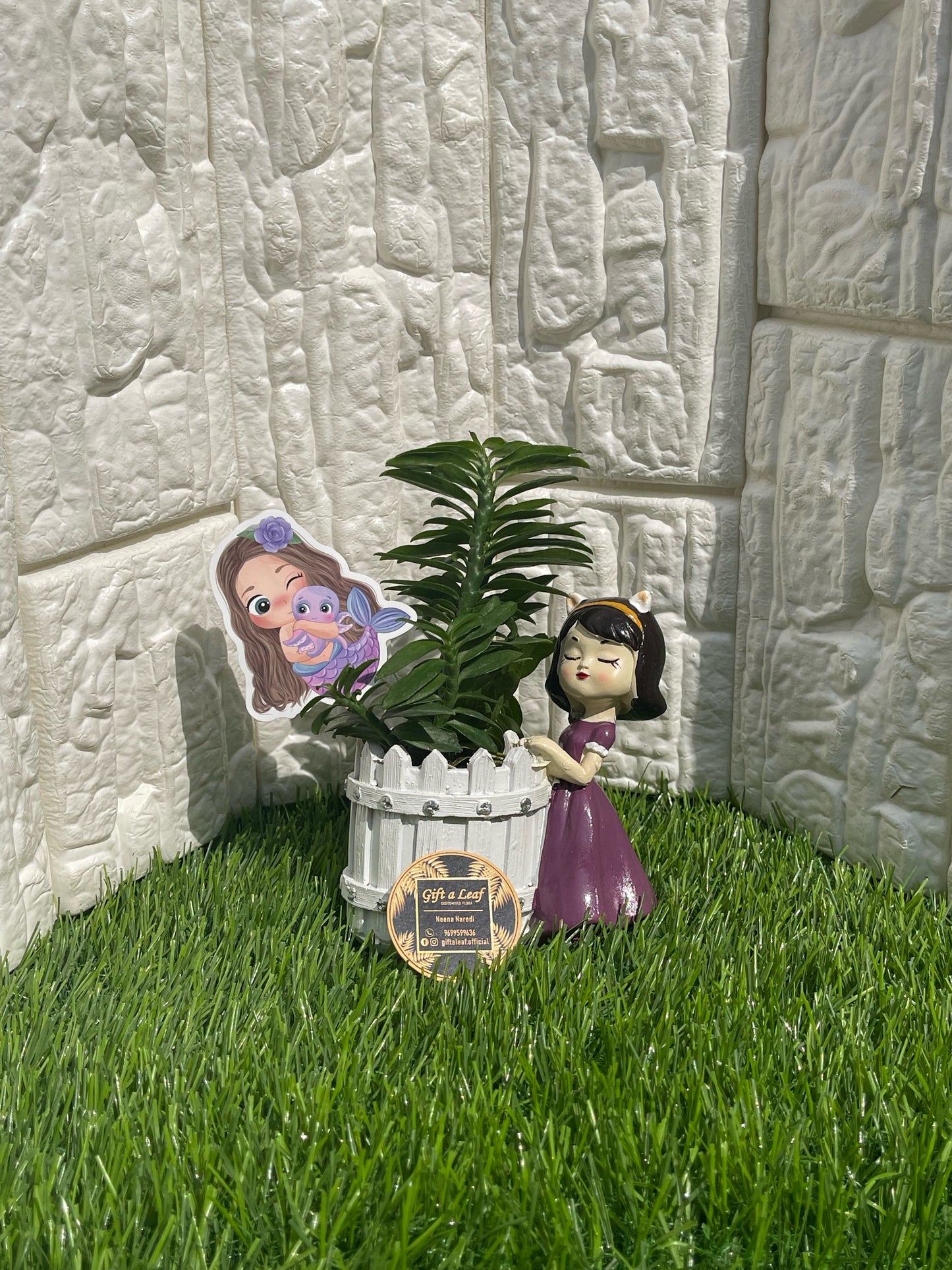 GL125- White & Purple Doll Pot with Vanda Plant (Single Piece)