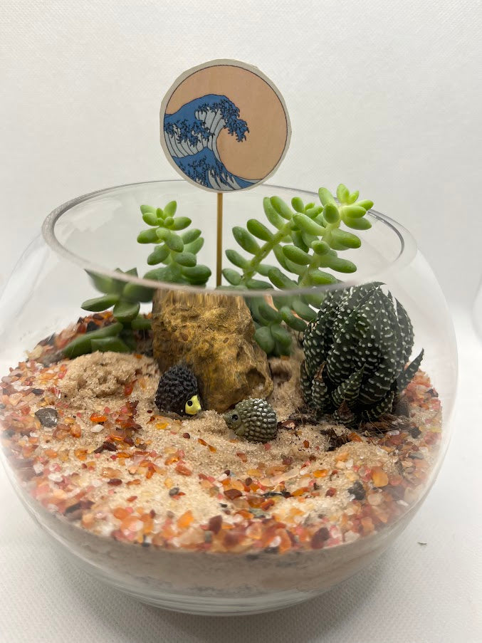 GL35 - Desert Theme Terrarium