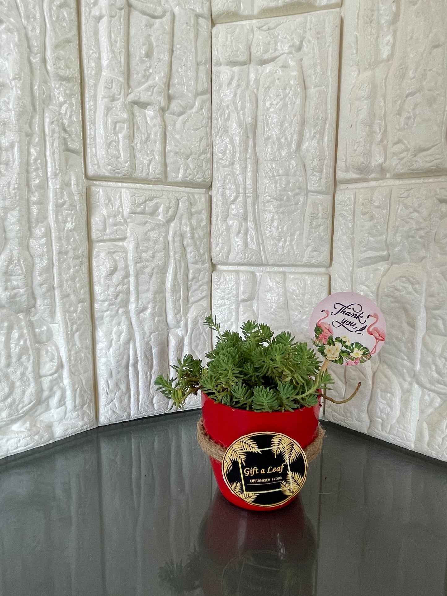 GL42-Set of 2 red plastic pot with plants