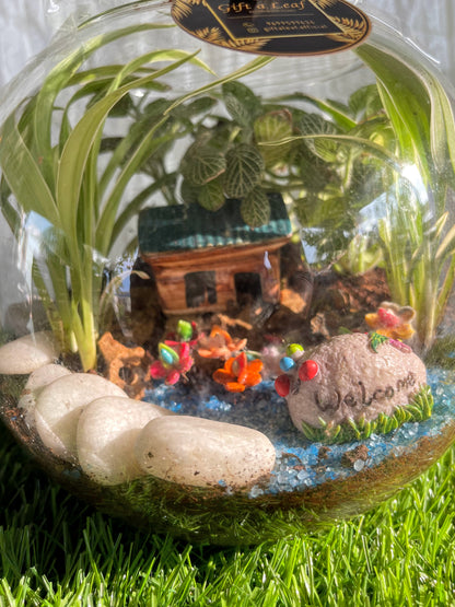 GL55-Welcome to my house- Closed terrarium