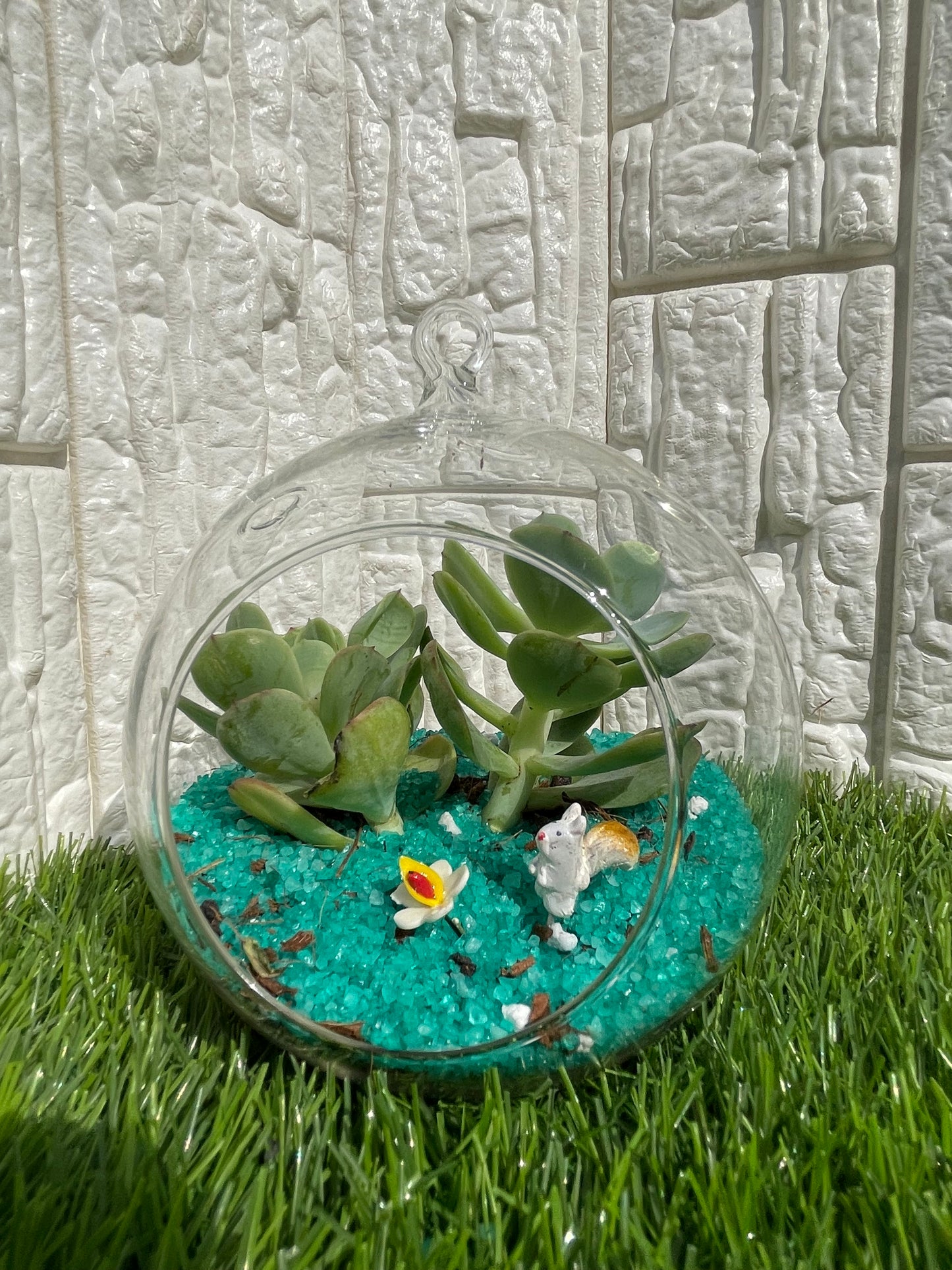 GL111- Medium size round terrarium with succulent