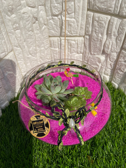 GL106 - Pink Pot Succulent Terrarium