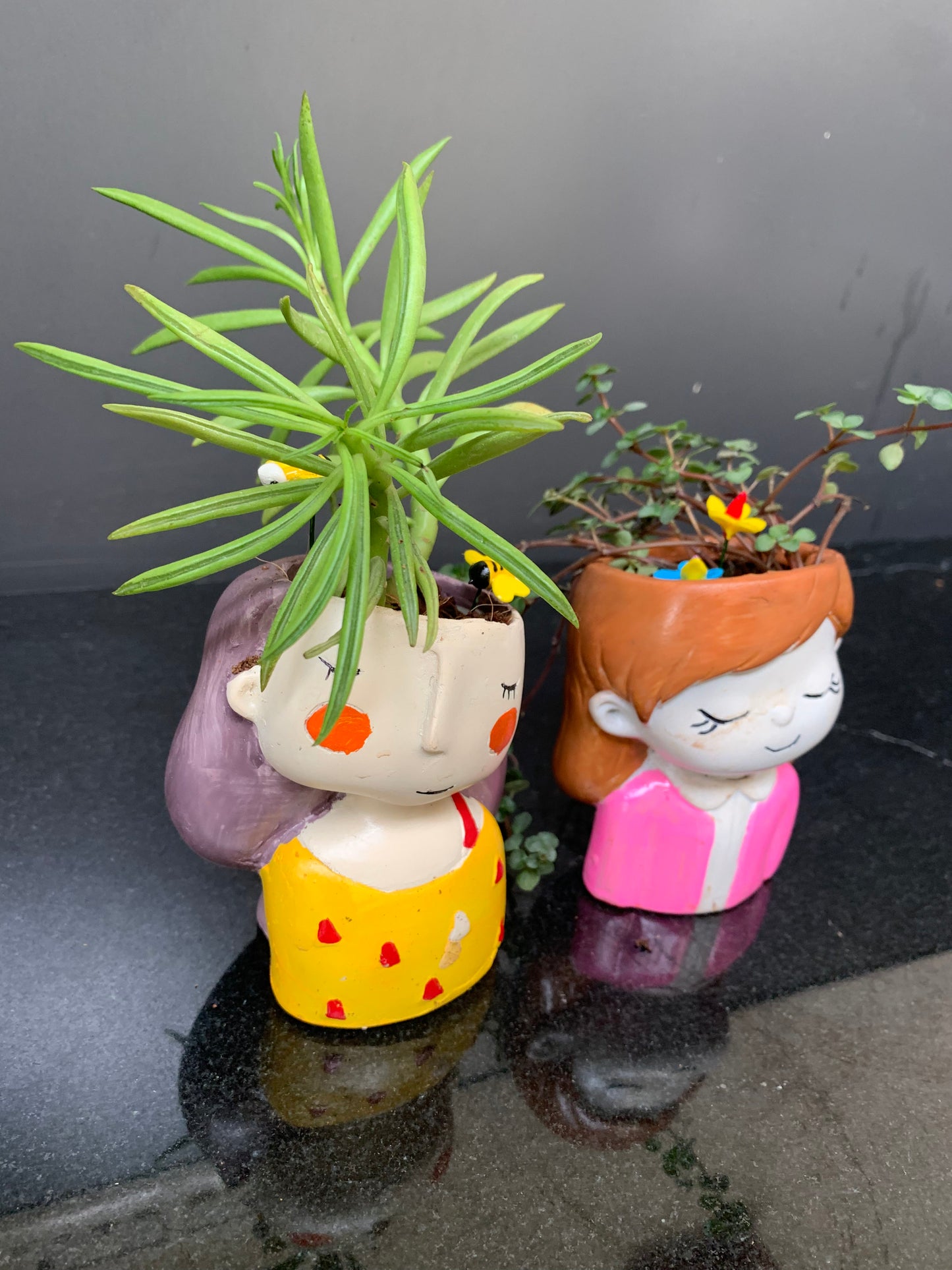 GL12 - Plants in Girl Head Pot (Set of 2)