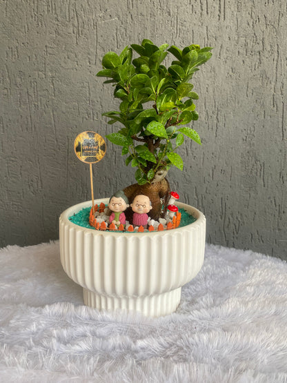 GL144 - Serene Ficus Bonsai Fairy garden  with Senior Couple