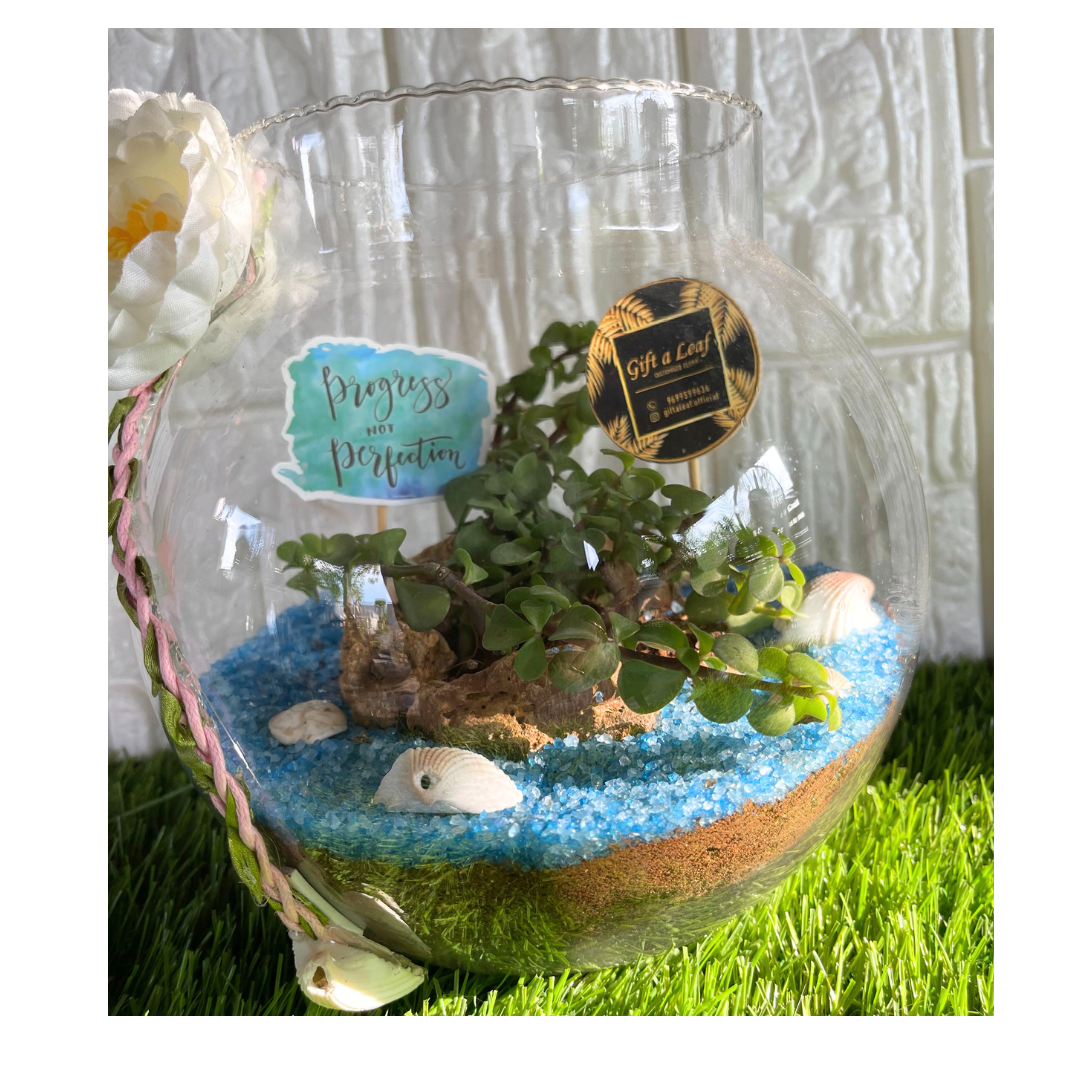 GL52 - Island Theme Terrarium