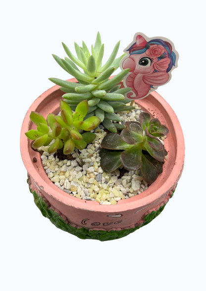 GL113-Succulent in Cute baby Pink Planter