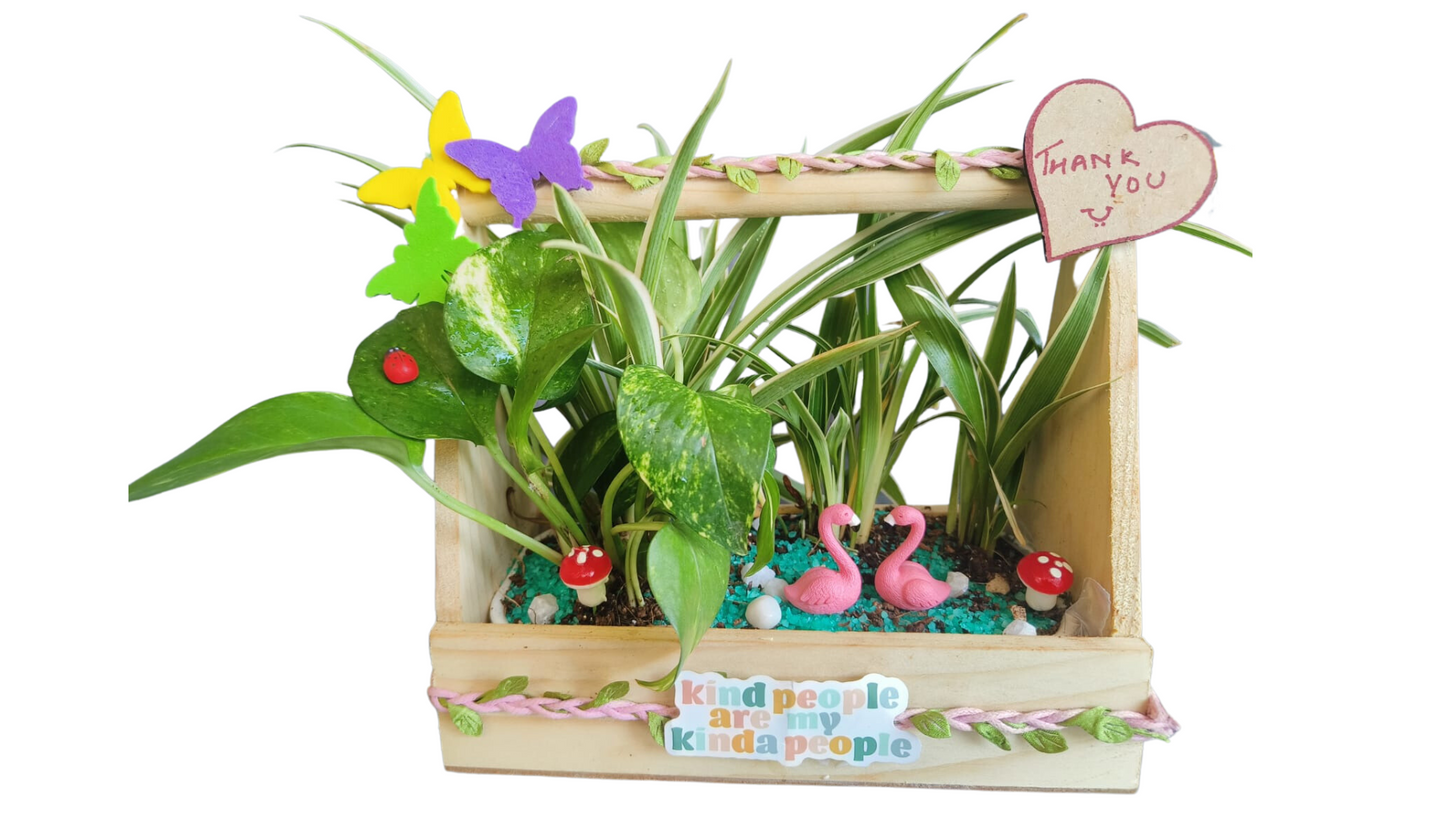 GL130 - Wooden Tray Plant Hamper