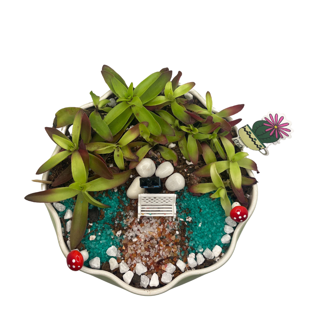 GL131 - Succulent Garden Platter