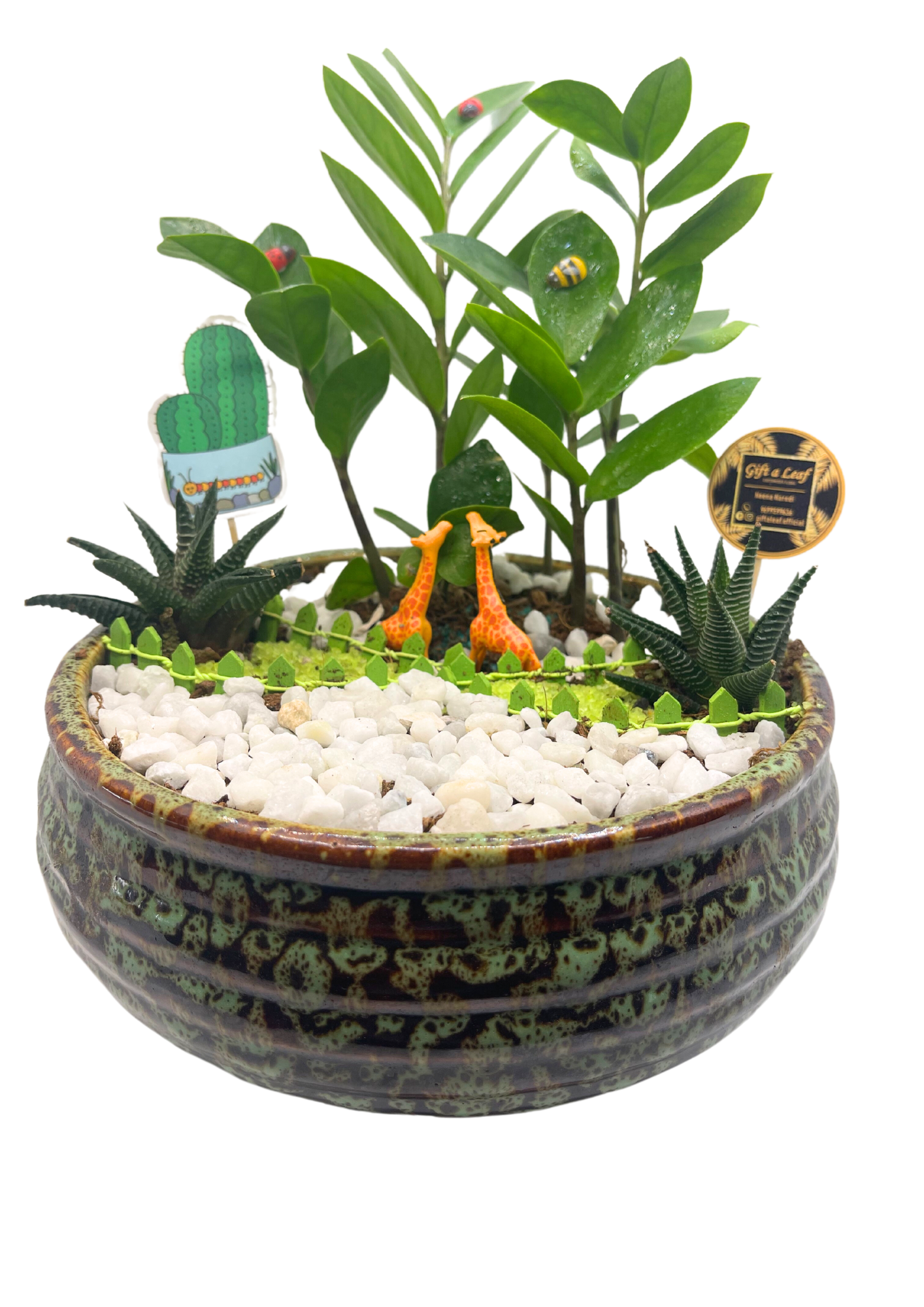 GL135 - Designer Dual Tone Ceramic pot with Zoo Theme