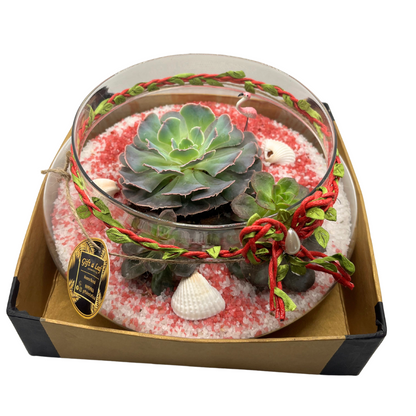 GL107 - White Succulent Terrarium