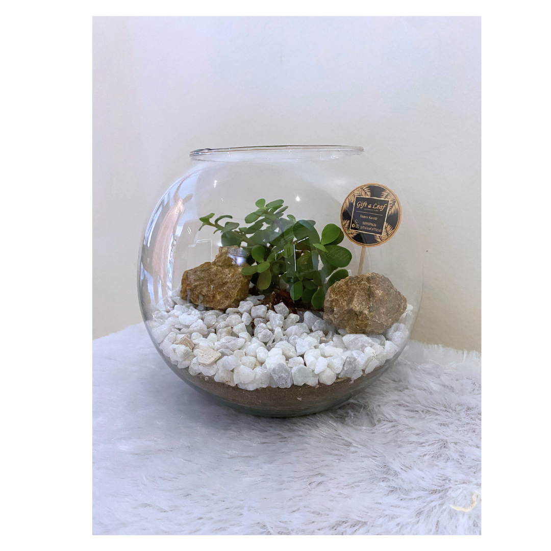 GL139 - Glass Bowl with Rock Theme Planter.