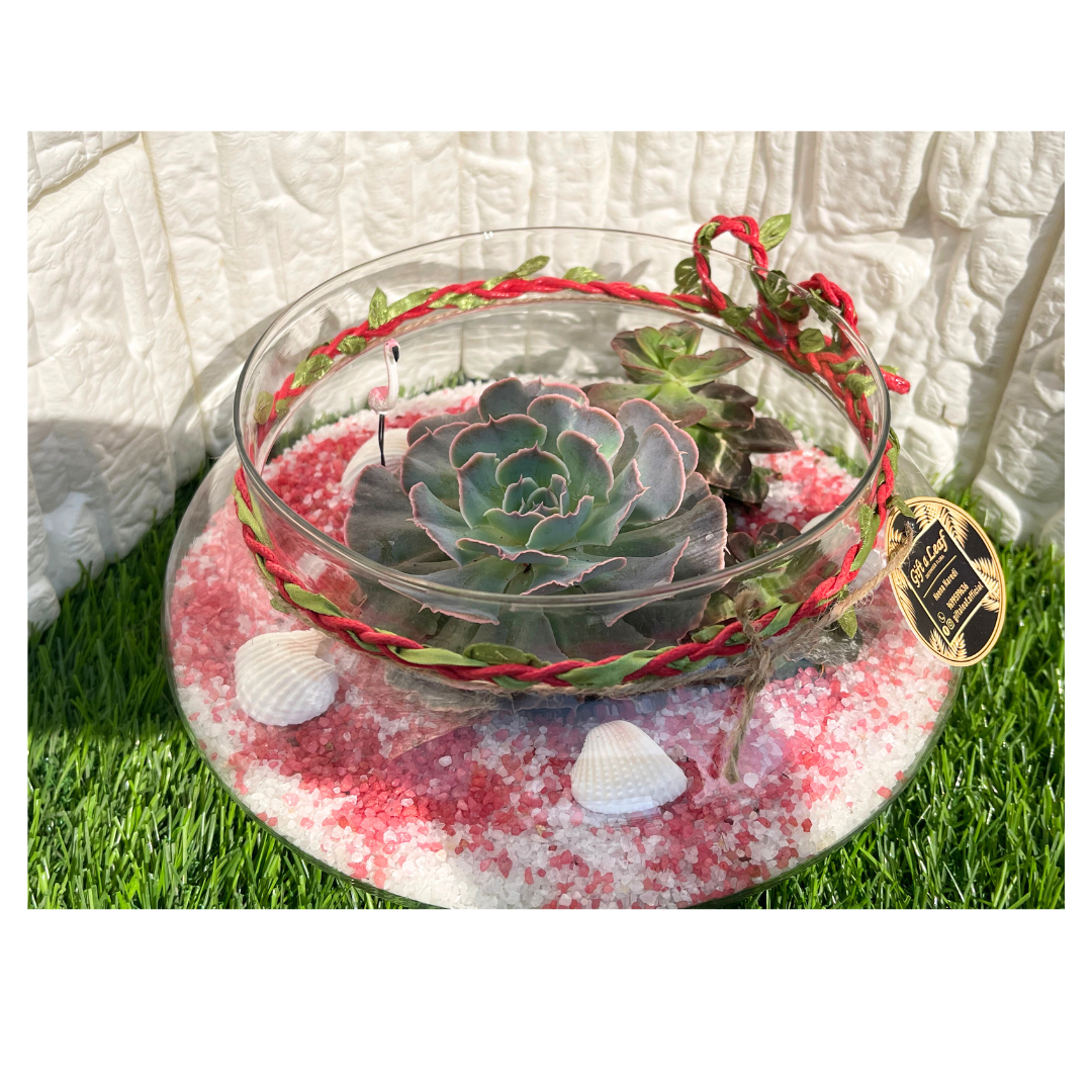 GL107 - White Succulent Terrarium