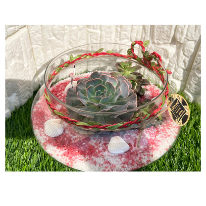 GL107 - White Succulent Terrarium