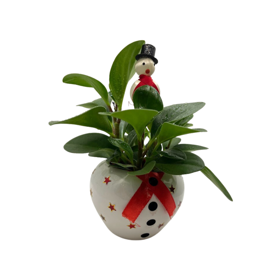 GL118 - White Ceramic Snowman Pot