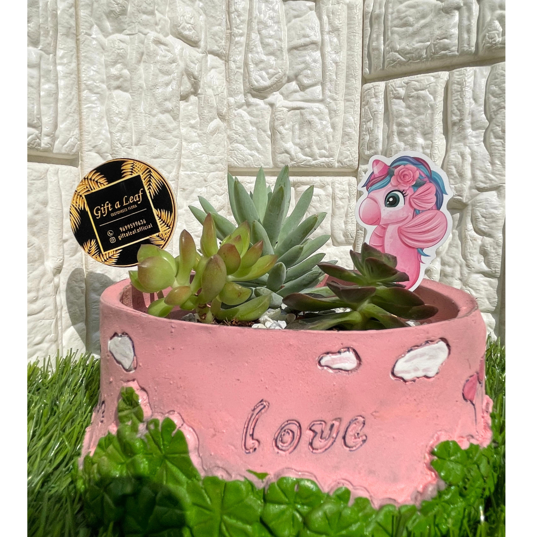 GL113-Succulent in Cute baby Pink Planter