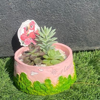 GL113-Succulent in Cute baby Pink Planter