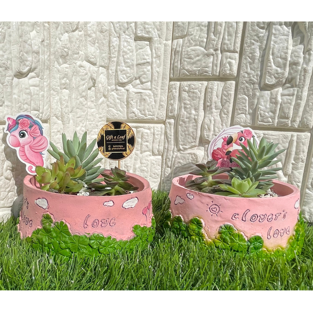 GL113-Succulent in Cute baby Pink Planter