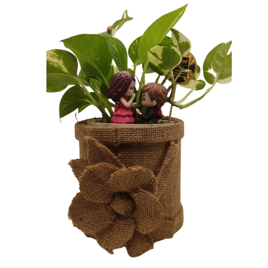 GL143 - Money plant in Exquisite Jute planter and Couple Miniature