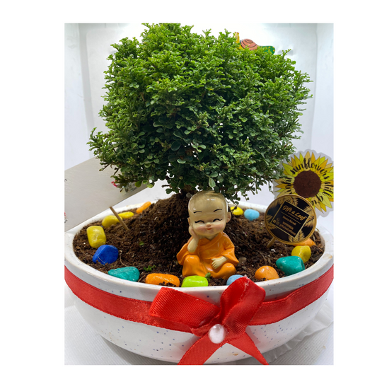 GL155 - Unique Bonsai Planter in Ceramic Pot with Buddha