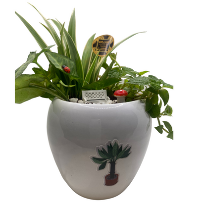 GL158 - Garden Theme Ceramic Pot Planter.