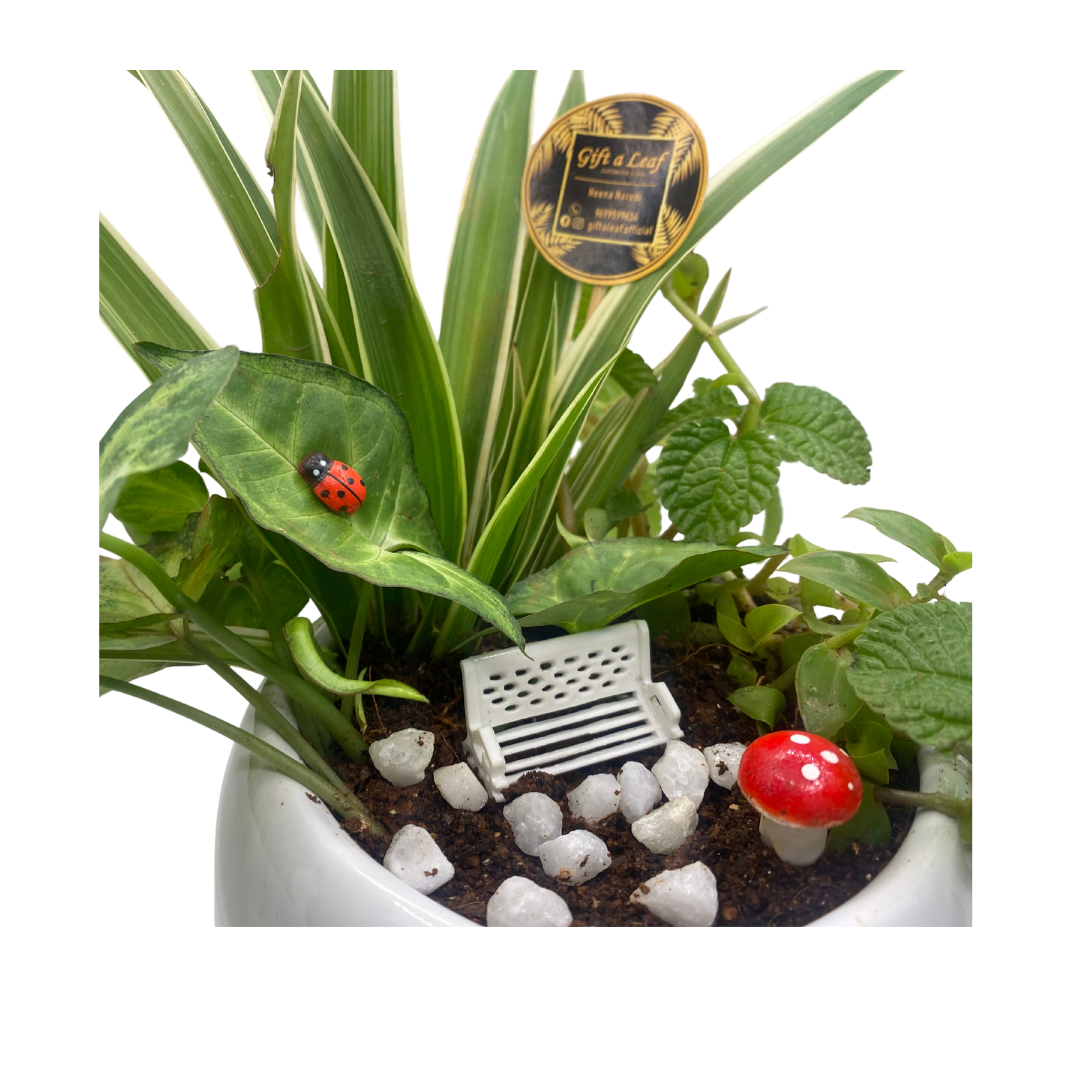 GL158 - Garden Theme Ceramic Pot Planter.