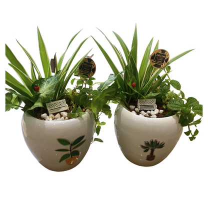 GL158 - Garden Theme Ceramic Pot Planter.