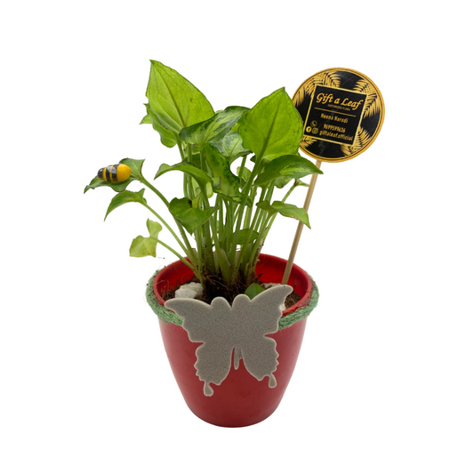 GL160 - Plastic Mini Pot with Plant (Set of 5)