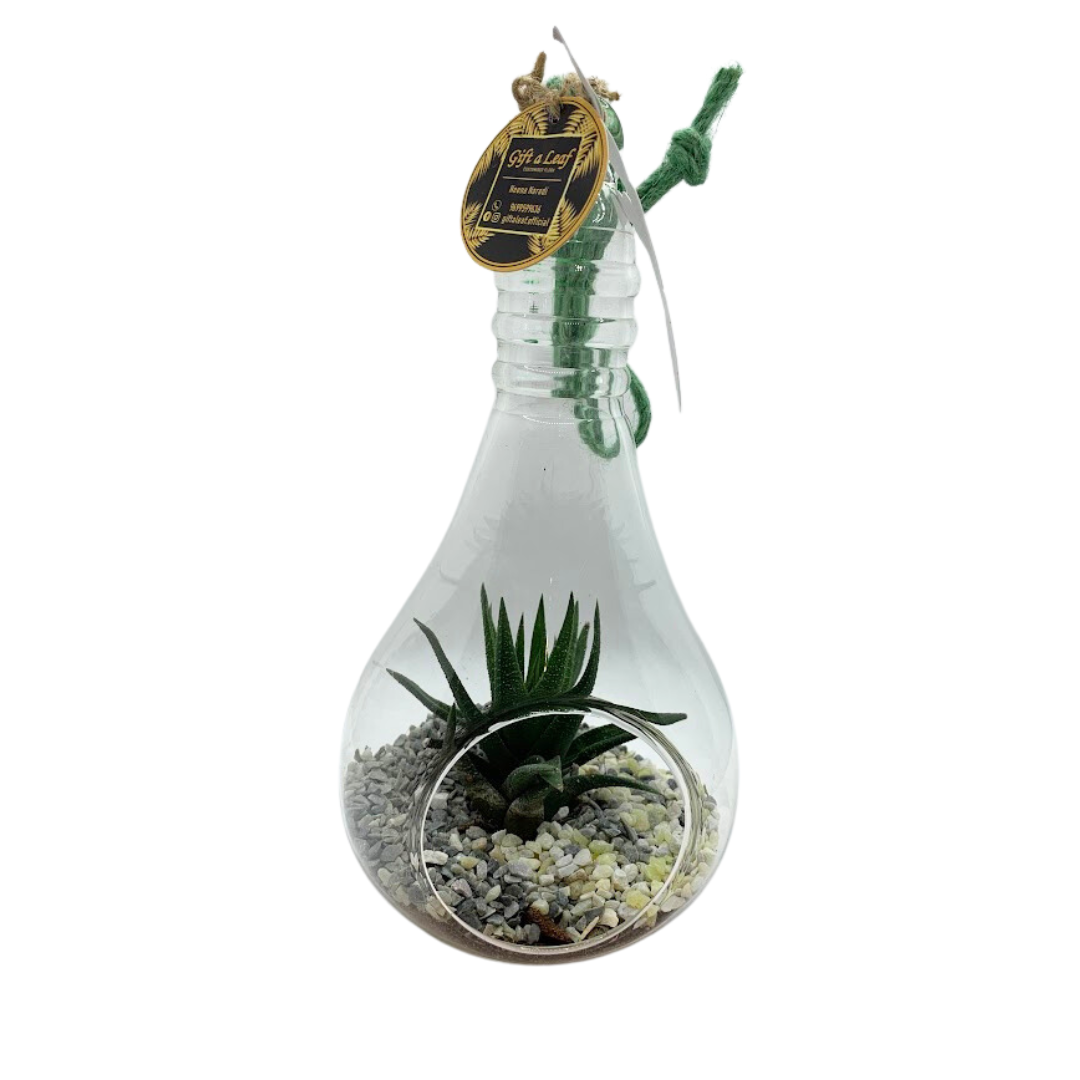 GL1- Glass Bulb Terrarium