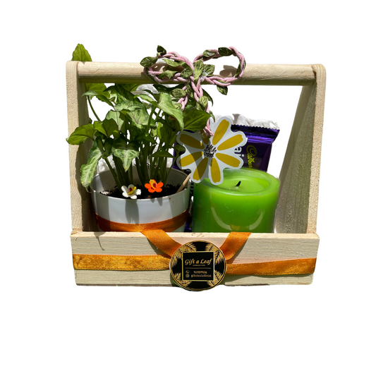 GL67 - Wooden Gift Hamper