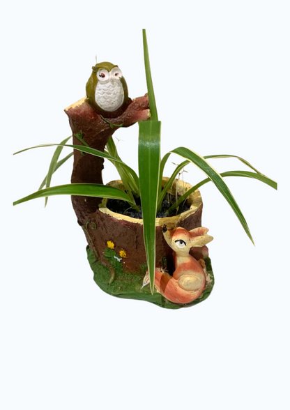 GL53-Forest pot for children