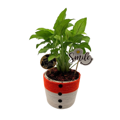 GL123 -  Christmas Snowman Pot with Plant (Single piece)