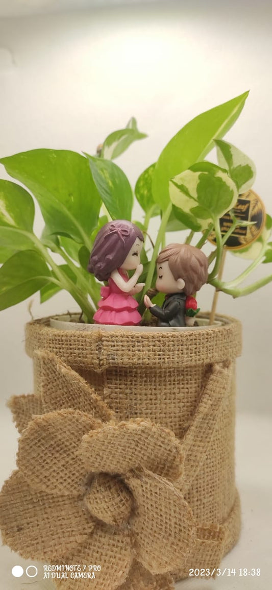 GL143 - Money plant in Exquisite Jute planter and Couple Miniature