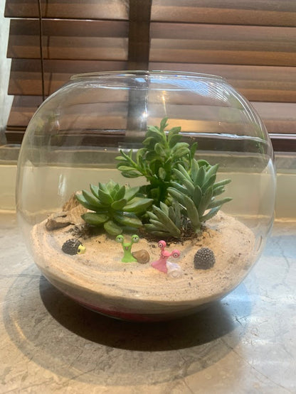 GL36- Dessert Terrarium.