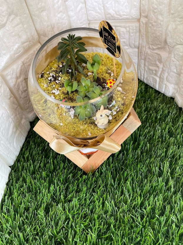 GL62-Round Gold Terrarium (with wooden stand)