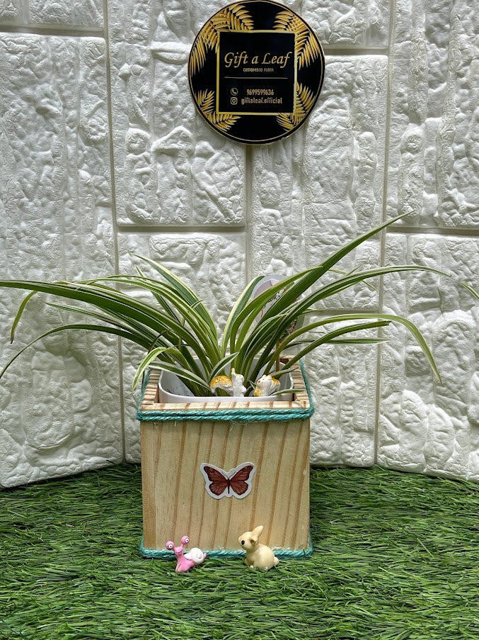 GL79-Wooden Pen Stand with Planter